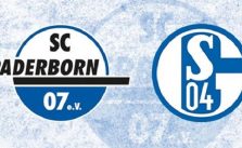 Soi kèo nhà cái Schalke 04 vs Paderborn, 08/02/2020 - Giải VĐQG Đức