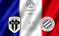 Soi kèo nhà cái Angers SCO vs Montpellier, 23/02/2020 - VĐQG Pháp [Ligue 1]