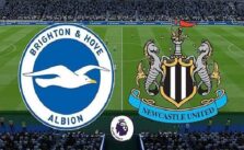 Soi kèo nhà cái bóng đá Brighton vs Newcastle, 21/03/2021 – Ngoại Hạng Anh 